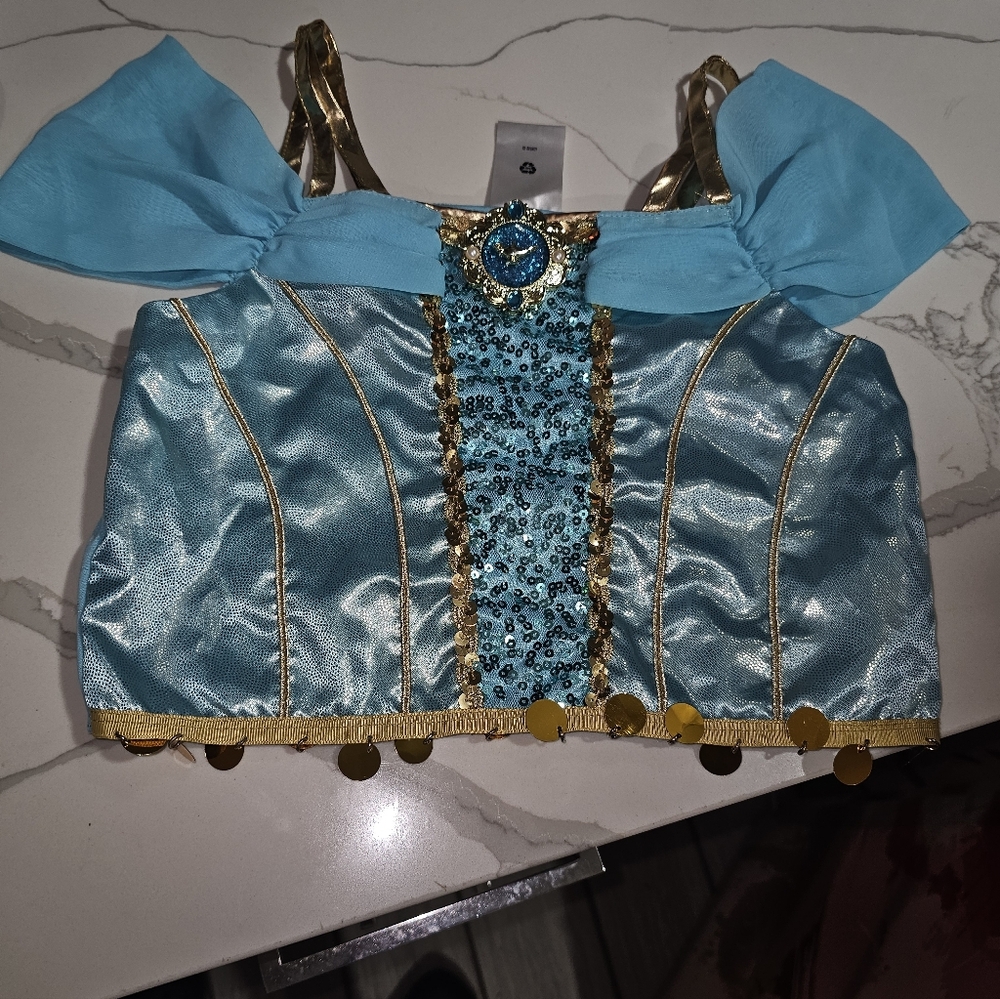 Disney Shimmering Blue and Gold Princess Costume Top